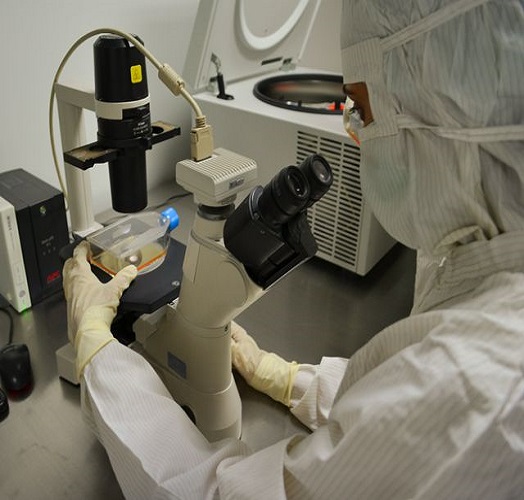 faculty image